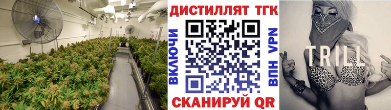 дарк нет телеграм  Кропоткин  ТГК THC oil  наркотики 