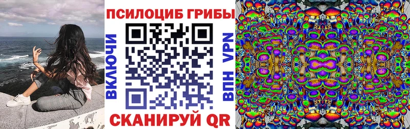 Галлюциногенные грибы MAGIC MUSHROOMS  как найти   Кропоткин 
